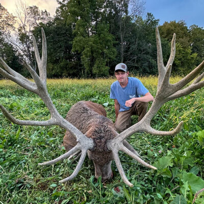 Image for choice number 1