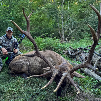 Image for choice number 2