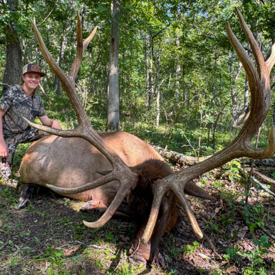 Image for choice number 3