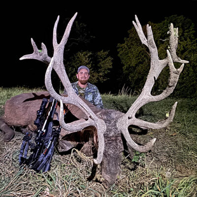 Image for choice number 2