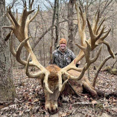 Image for choice number 7