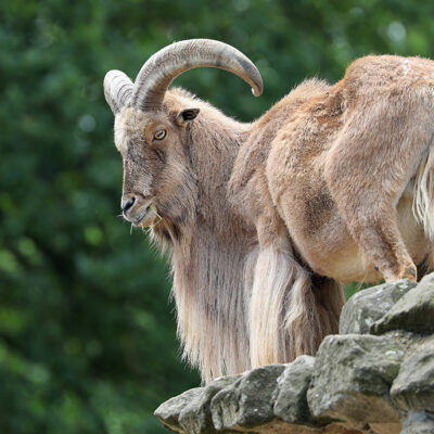 Image for choice number 4