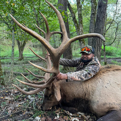 Image for choice number 2