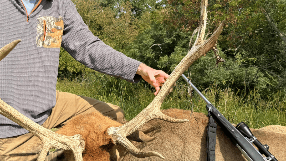 Untitled-design-2025-01-16T203101.565-1200×675