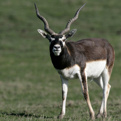 Image for choice number 5