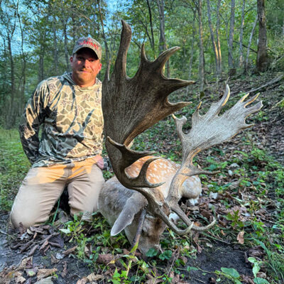 Image for choice number 4