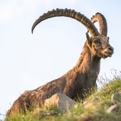 Image for choice number 2