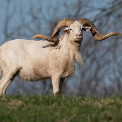 Image for choice number 6